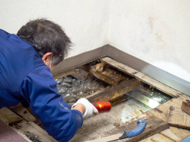 Best Mold Remediation for Schools in Asbury Lake, FL