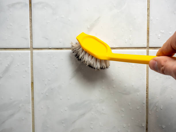 Best Emergency Mold Remediation in Asbury Lake, FL